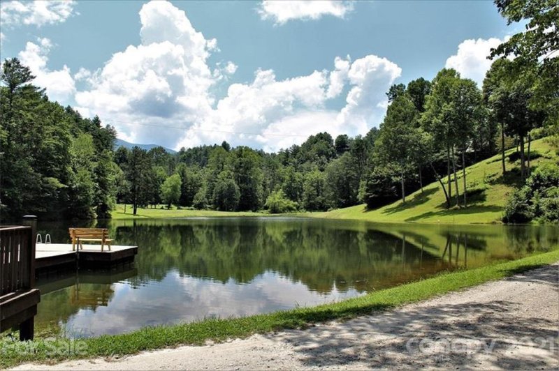 Property image 4 at 209 S Mallard Cove, Almond, NC 28702