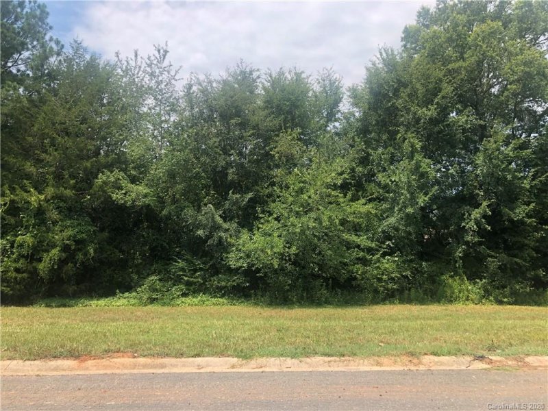 Property image 4 at 153 Ole East Pointe Drive, York, SC 29745