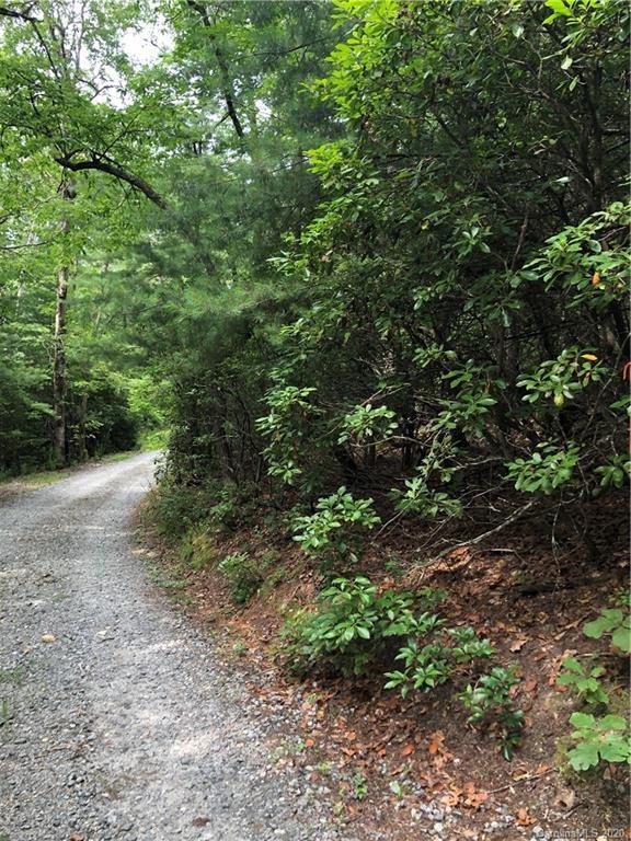 Lot 6a Dogwood Circle