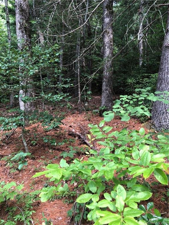 Property image 5 at Lot 6a Dogwood Circle, Penrose, NC 28768