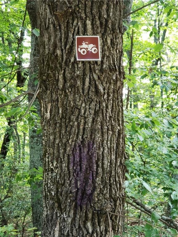 Property image 2 at 0 Sleepy Hollow Road, Connelly Springs, NC 28612