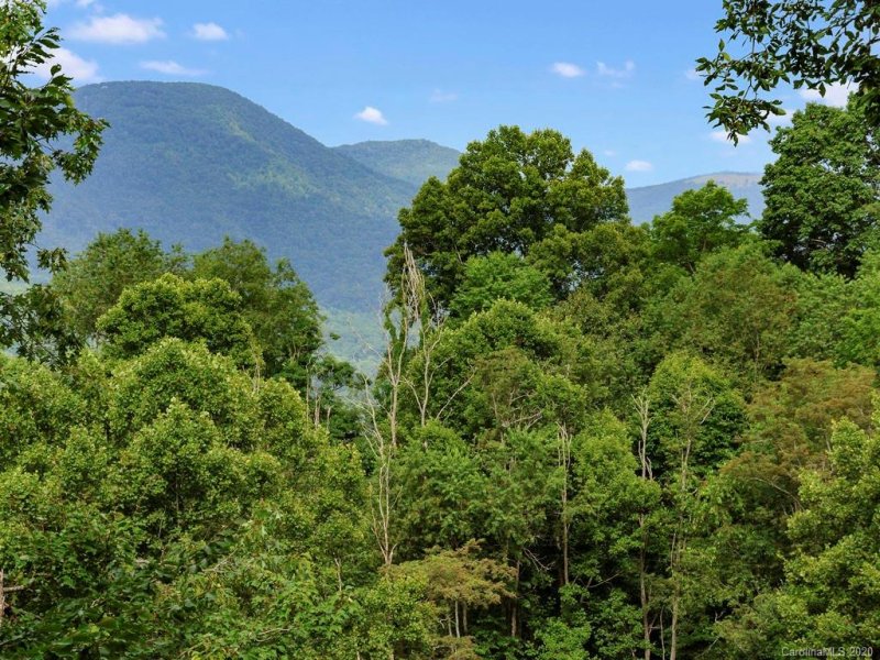 Property image 5 at 251 Countryside Drive, Waynesville, NC 28785