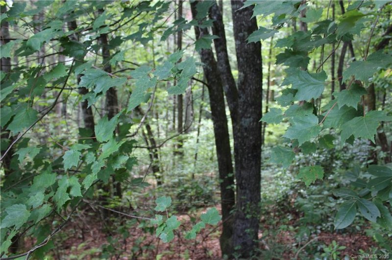 Property image 3 at Lot 8 Oxford Court, Brevard, NC 28712