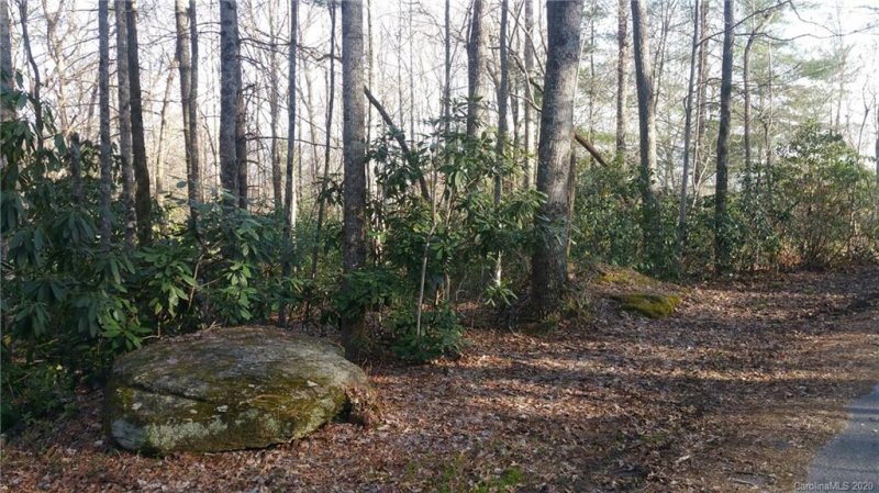 Property image 4 at Tbd Honeysuckle Ridge Road, Pisgah Forest, NC 28768