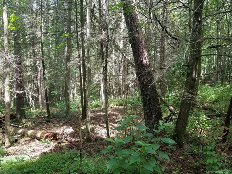 Property image 2 at 583 Ashley Bend Trail, Hendersonville, NC 28792