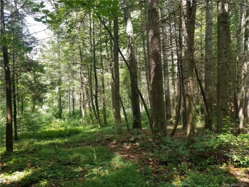 Property image 4 at 583 Ashley Bend Trail, Hendersonville, NC 28792