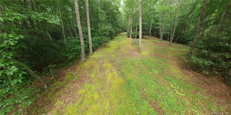 Property image 3 at Tba Celo Cove Drive, Burnsville, NC 28714