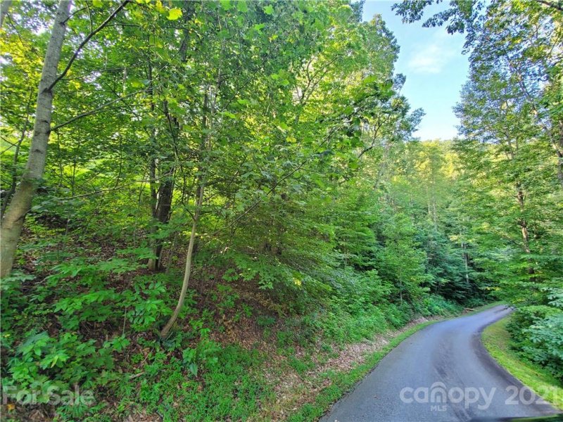 Property image 3 at 8 Mossy Rock Lane, Leicester, NC 28748