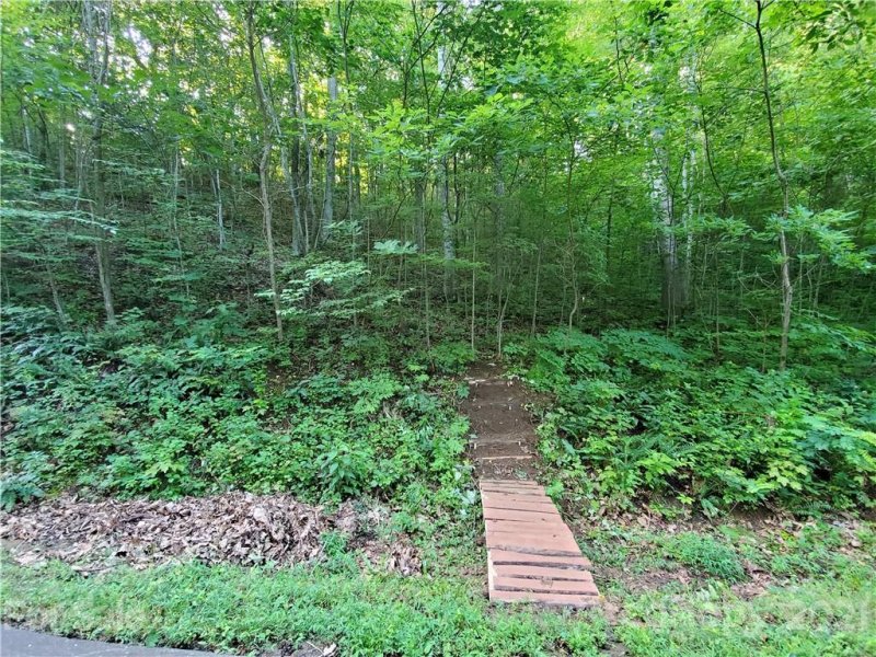 Property image 5 at 8 Mossy Rock Lane, Leicester, NC 28748