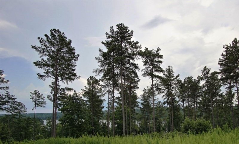 Tbd Waters Edge Drive