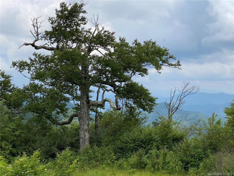 Property image 4 at 00 Big Spring Trail, Burnsville, NC 28714