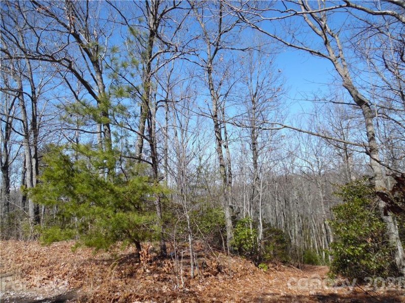 Property image 2 at 0 Lakeview Drive, Tryon, NC 28782