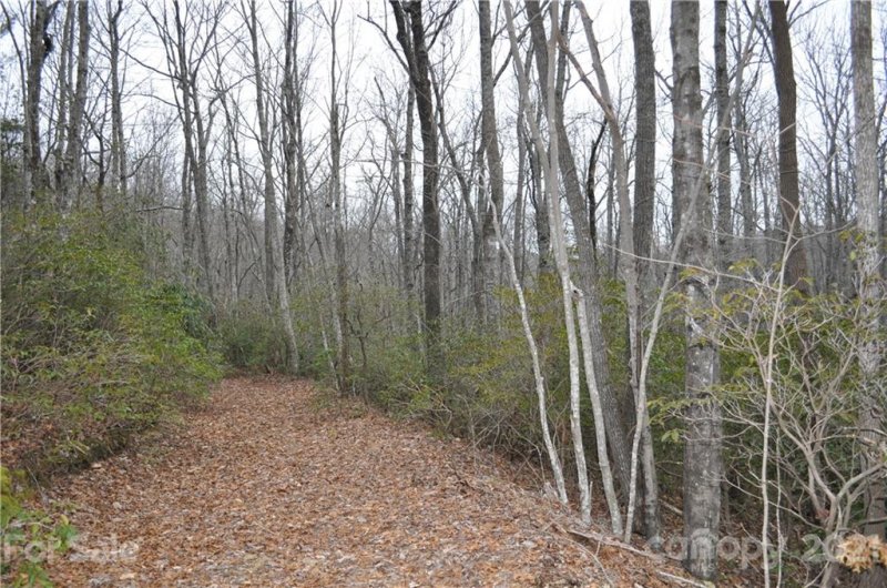 Property image 5 at 0 Lakeview Drive, Tryon, NC 28782