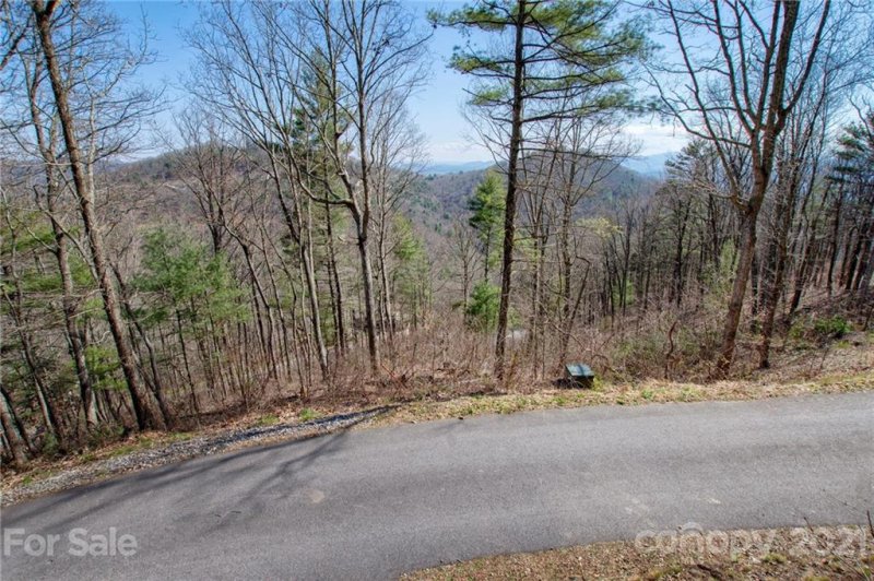 Property image 2 at 99999 Waxwing Way, Asheville, NC 28804