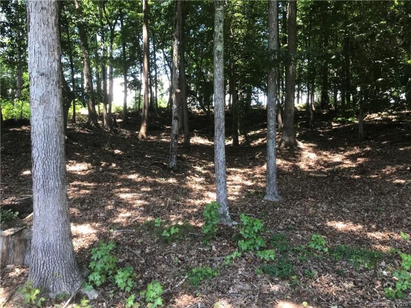 Property image 2 at 111 Nautilus Court, Troutman, NC 28166