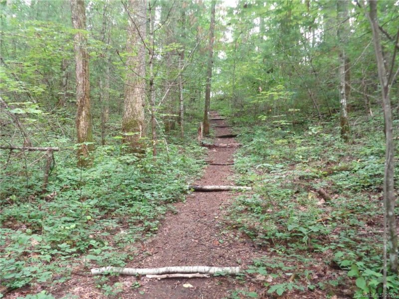 Property image 3 at 0000 Spring Road, Hendersonville, NC 28739