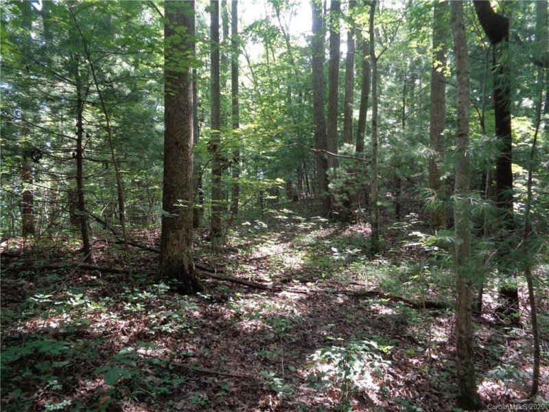 Property image 4 at 0000 Spring Road, Hendersonville, NC 28739