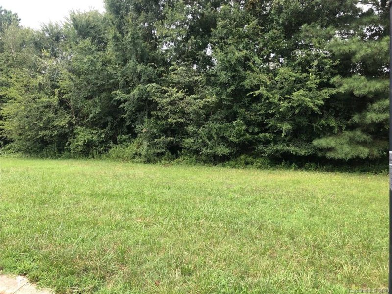 Property image 3 at 137 Ole East Pointe Drive, York, SC 29745