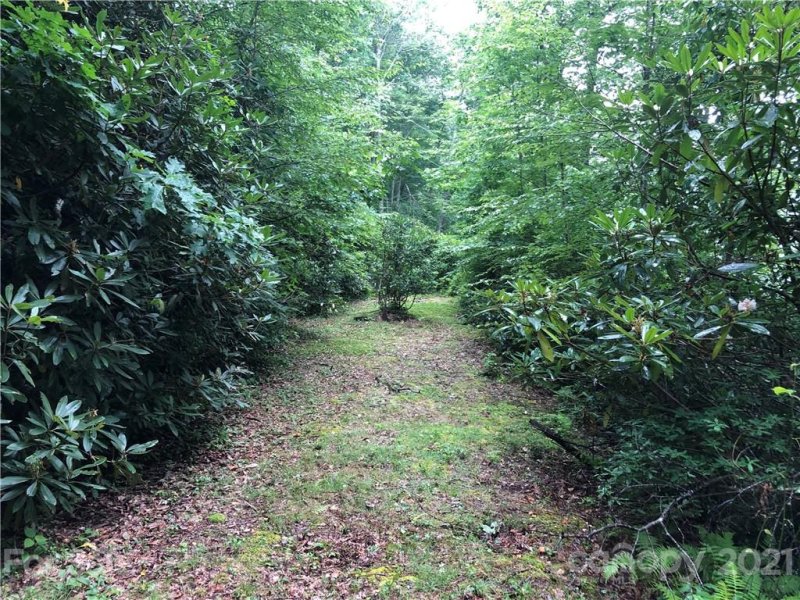 711 Plott Balsam Road