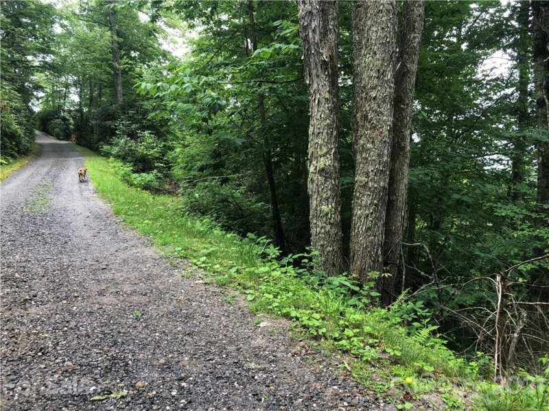 Property image 2 at 711 Plott Balsam Road, Maggie Valley, NC 28751