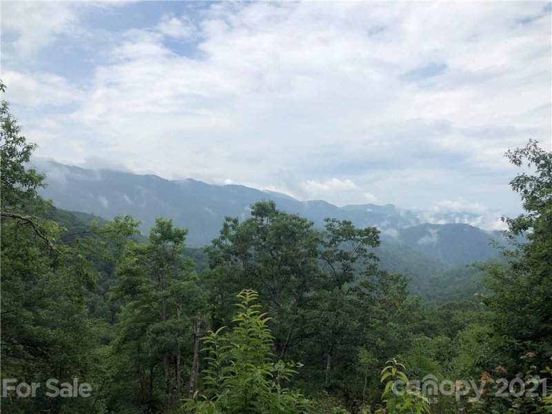 Property image 3 at 711 Plott Balsam Road, Maggie Valley, NC 28751