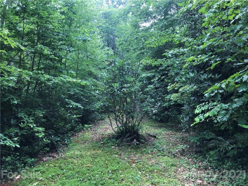 Property image 4 at 711 Plott Balsam Road, Maggie Valley, NC 28751