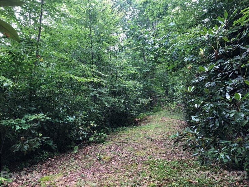 Property image 5 at 711 Plott Balsam Road, Maggie Valley, NC 28751