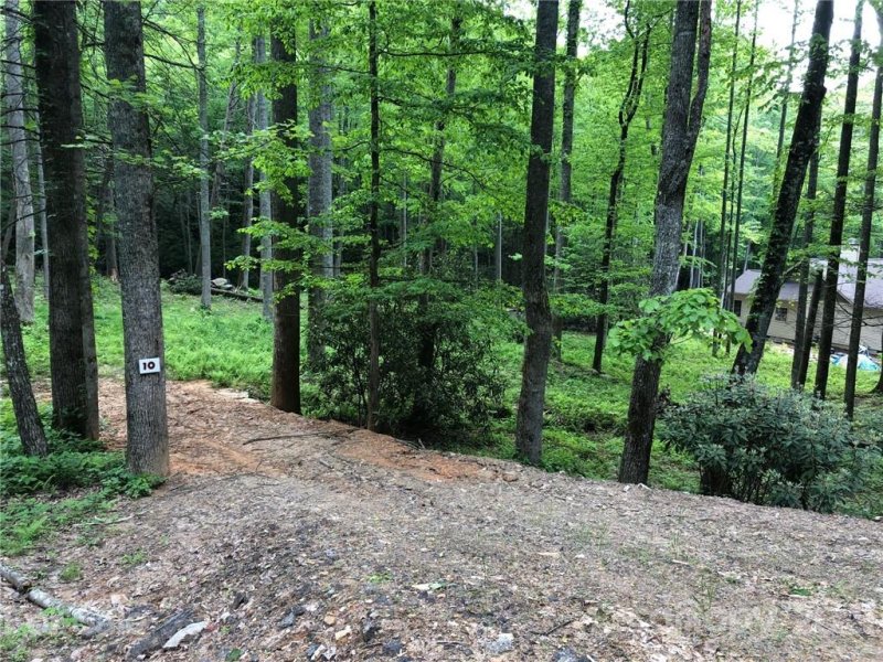 Property image 2 at 1060 Wash Freeman Road, Hendersonville, NC 28792