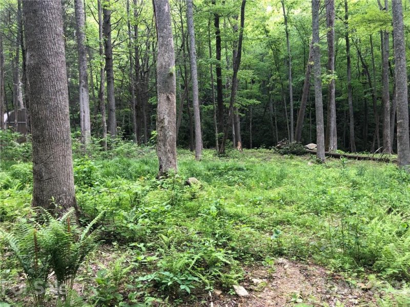 Property image 3 at 1060 Wash Freeman Road, Hendersonville, NC 28792