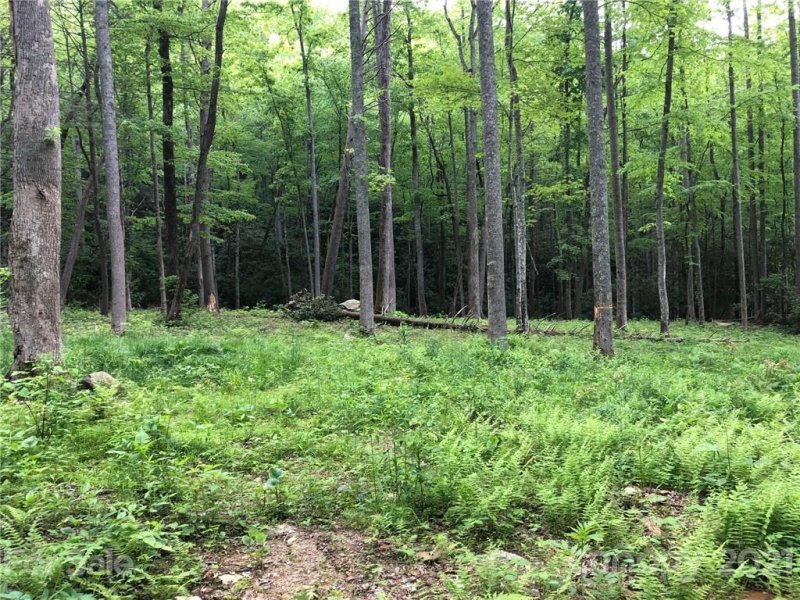 Property image 4 at 1060 Wash Freeman Road, Hendersonville, NC 28792