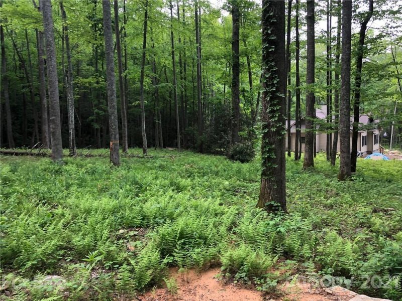 Property image 5 at 1060 Wash Freeman Road, Hendersonville, NC 28792