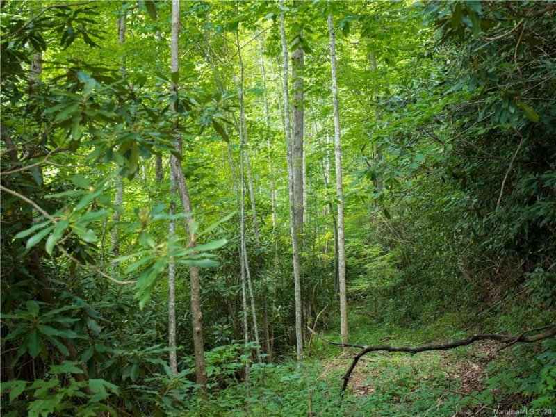 Property image 3 at 248 High Hickory Trail Trail, Swannanoa, NC 28778