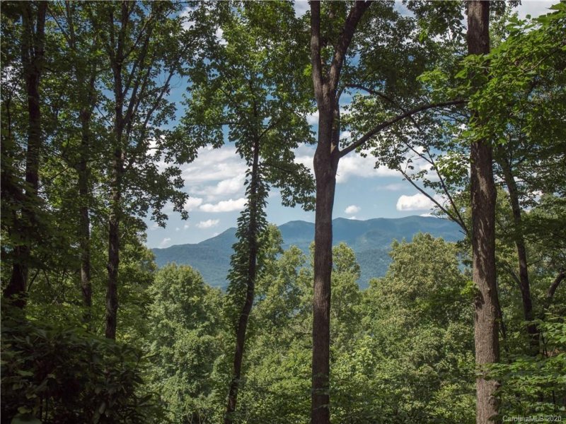 Property image 4 at 248 High Hickory Trail Trail, Swannanoa, NC 28778