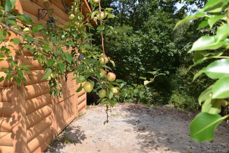 Property image 5 at 125 Pine Ridge Drive, Bostic, NC 28018