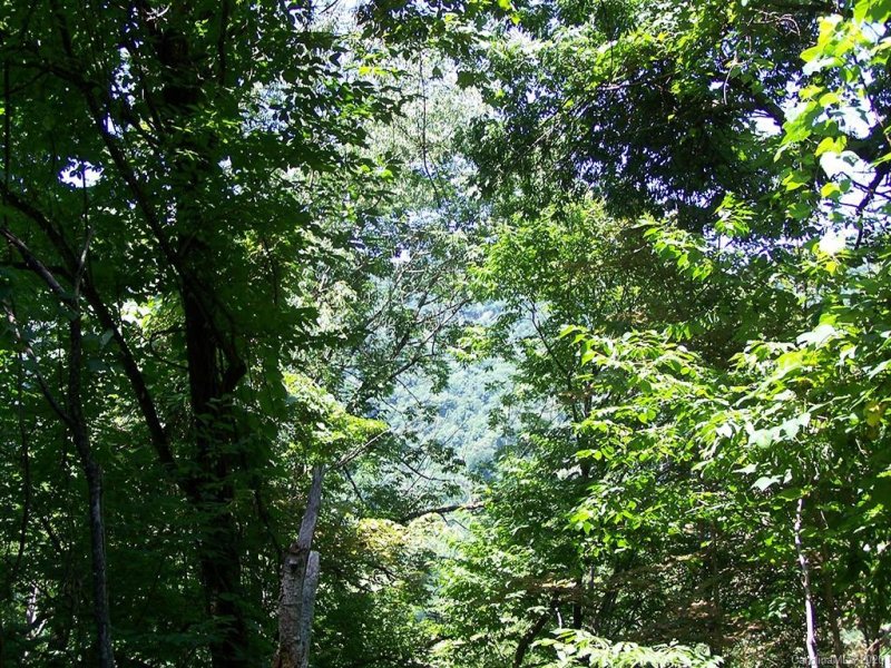 Property image 2 at 6 Chestnut Flats Lane, Waynesville, NC 28786