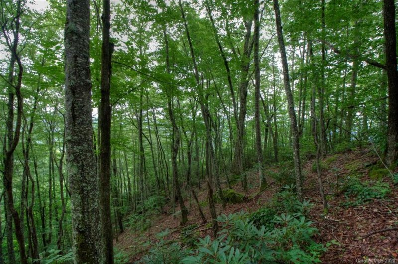 Property image 2 at 00 Connies Cove, Waynesville, NC 28786