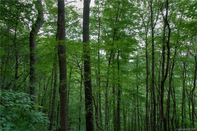 Property image 3 at 00 Connies Cove, Waynesville, NC 28786