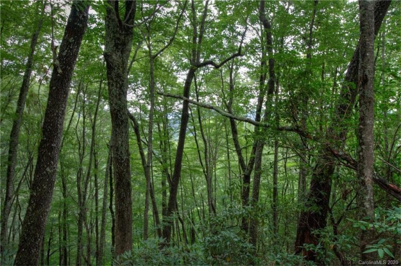 Property image 4 at 00 Connies Cove, Waynesville, NC 28786