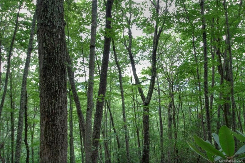 Property image 5 at 00 Connies Cove, Waynesville, NC 28786
