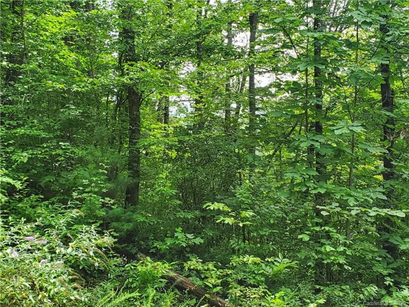 Property image 3 at 9 Red Leafe Trail, Sylva, NC 28779