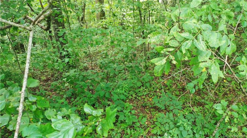 Property image 4 at Tbd Apple Lane, Spruce Pine, NC 28777