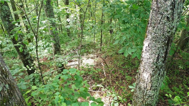 Property image 5 at Tbd Apple Lane, Spruce Pine, NC 28777