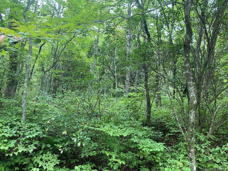 Property image 2 at Tbd Mulberry Circle, Brevard, NC 28712