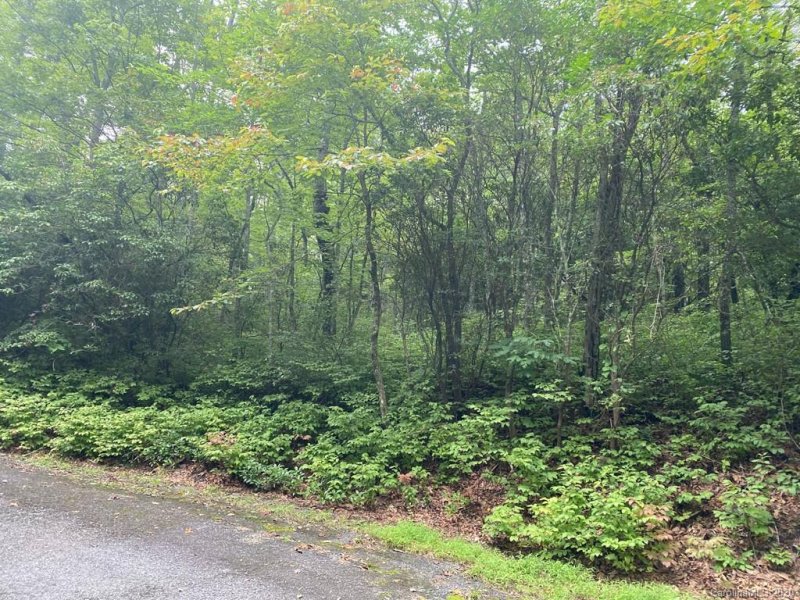 Property image 3 at Tbd Mulberry Circle, Brevard, NC 28712