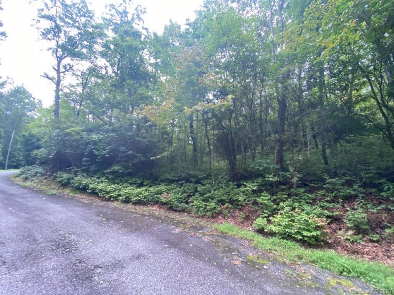 Property image 4 at Tbd Mulberry Circle, Brevard, NC 28712