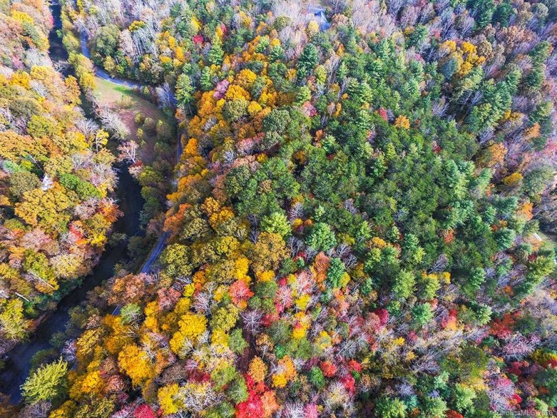 Property image 3 at 142 Riverbend Forest Drive, Asheville, NC 28805