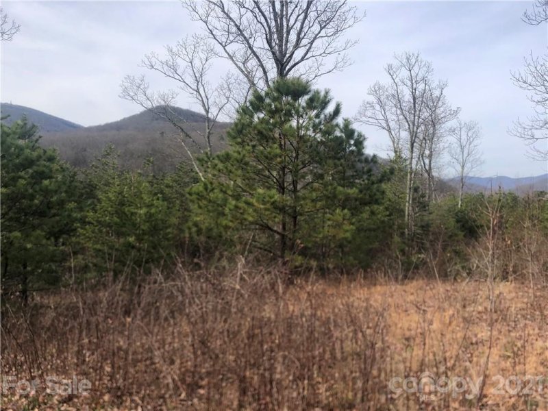 Property image 2 at Lot 57 N Lure View Lane, Hendersonville, NC 28792