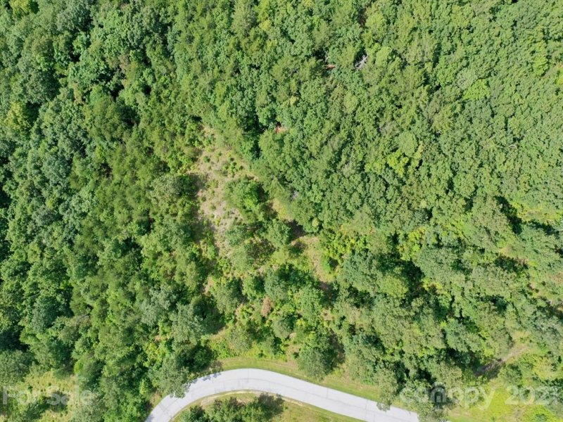 Property image 4 at Lot 57 N Lure View Lane, Hendersonville, NC 28792
