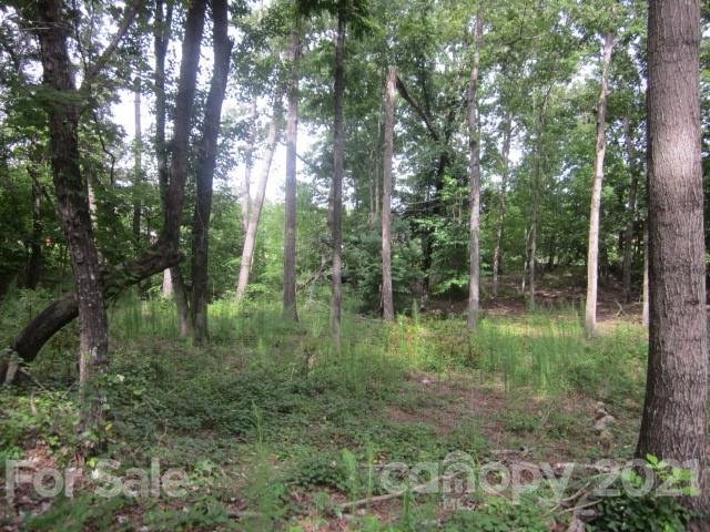 Property image 3 at 111 Greens Road, Granite Falls, NC 28630