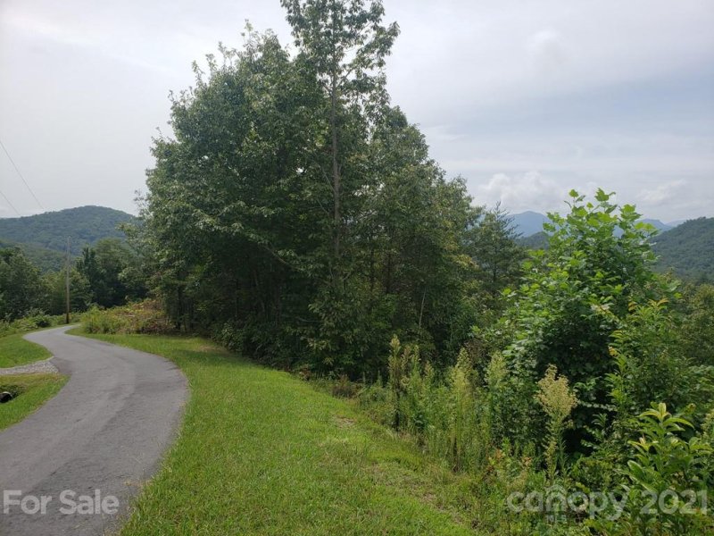 Property image 2 at 00 Mountainside Drive, Bryson City, NC 28713